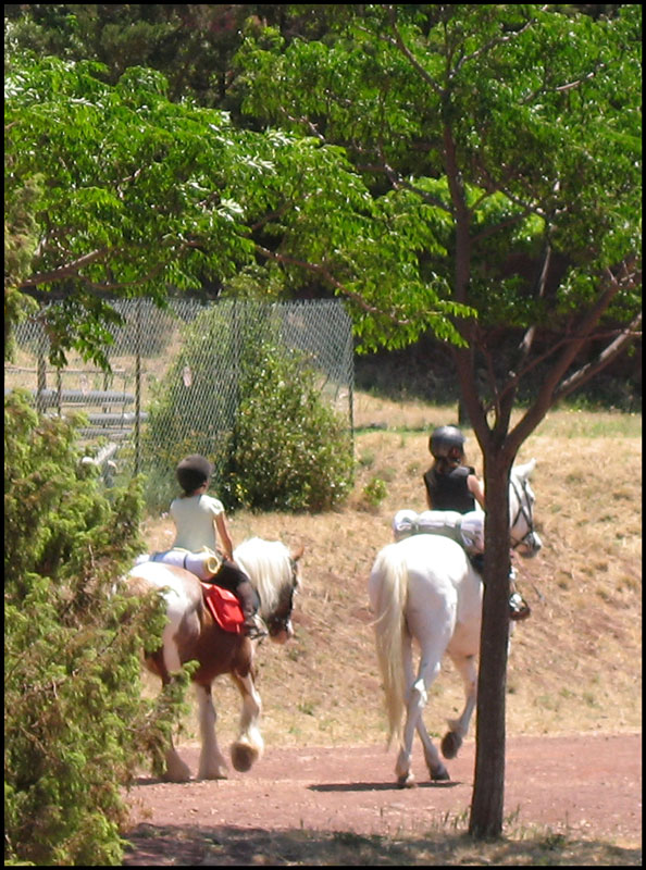 Randonnées à cheval au Salagou